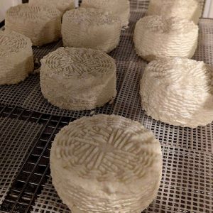 cheese from olympia farm