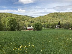 Farmhouse below a small hill of green pastures