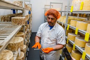 worker inspecting cheese at storage area