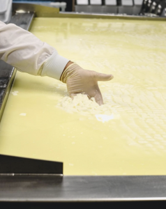 Worker inspecting cheese