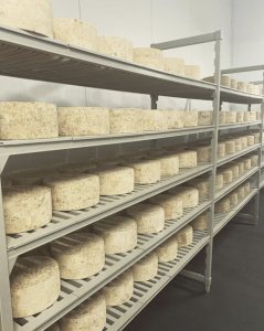 storage area for cheese