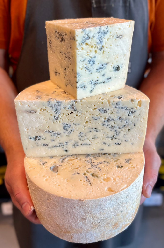 Three differently shaped cuts of cheese