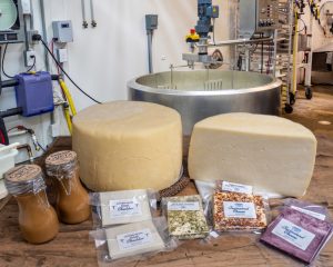 Multiple products of cheese showcased
