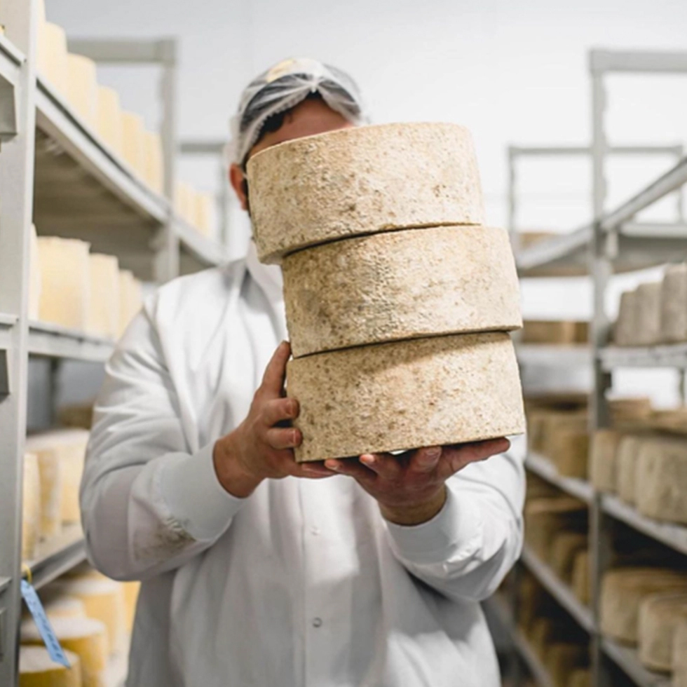 Cheese blocks from mystic cheese company