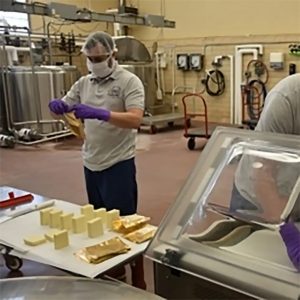uconn cremery cheese production